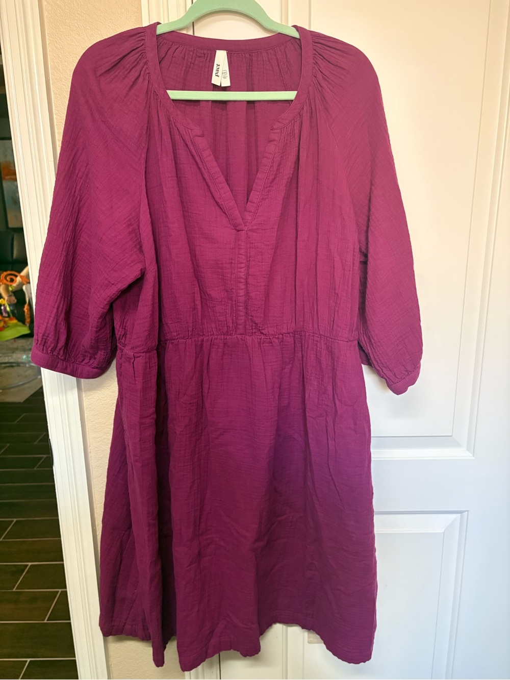 Women's Plum V-Neck Gathered Waist Dress